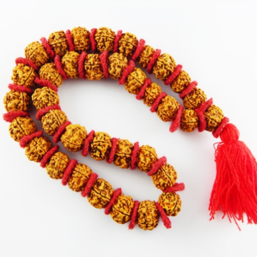 Kanthi Mala- 5 Face Napali Rudraksha