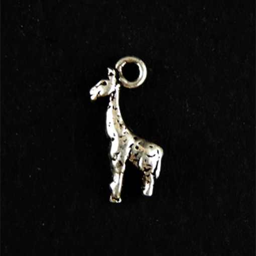 Sterling Silver Charm