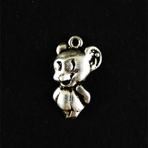 Sterling Silver Charm