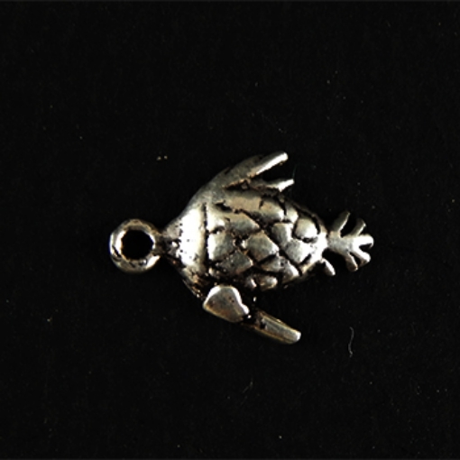 Sterling Silver Charm