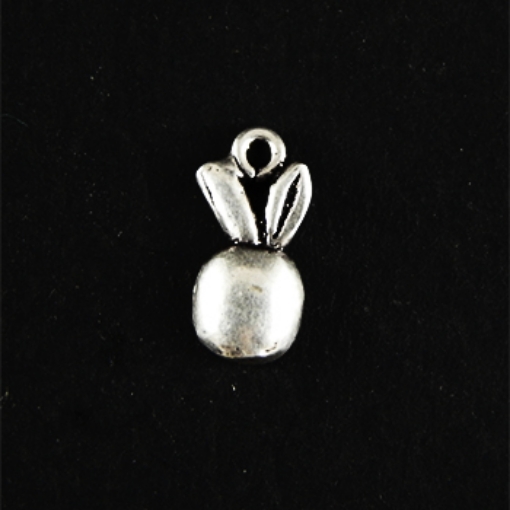 Sterling Silver Charm