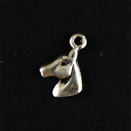 Sterling Silver Charm