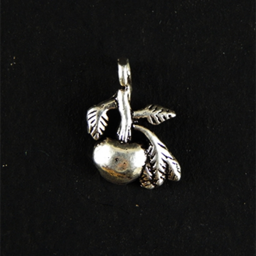 Sterling Silver Charm