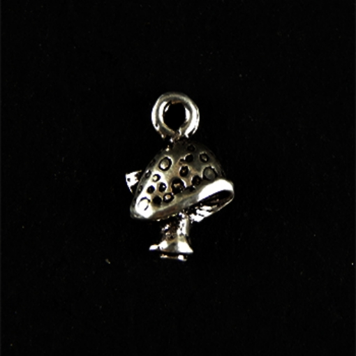 Sterling Silver Charm