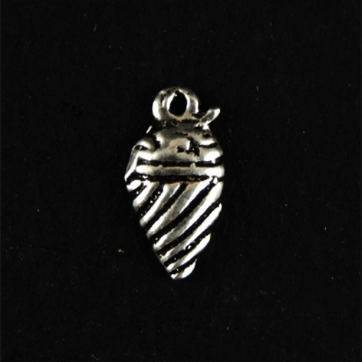 Sterling Silver Charm