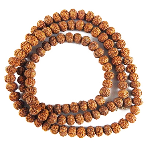 Picture of Chikna Rudraksha Mala