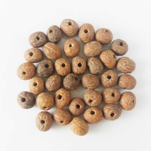 Nepali Bodhi Beads Loose