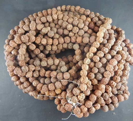 Rudraksha-Perlen