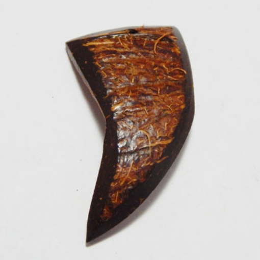 Coconut Shell Pendant