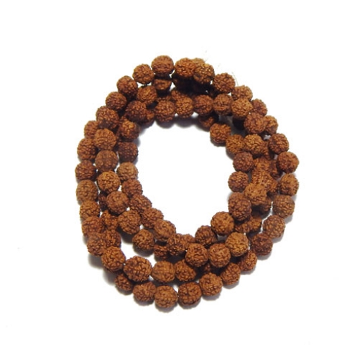 6 Face Rudraksha String