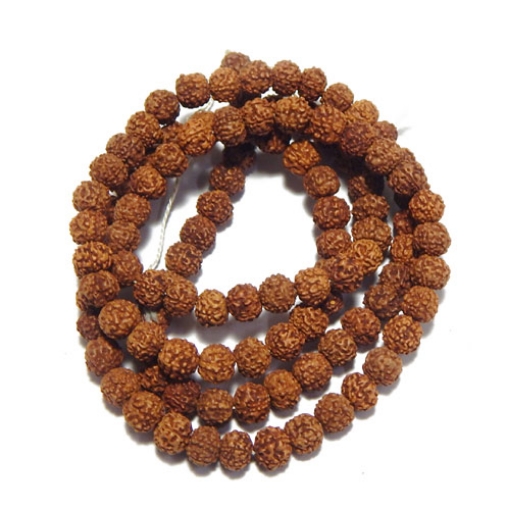 6 Face Rudraksha String