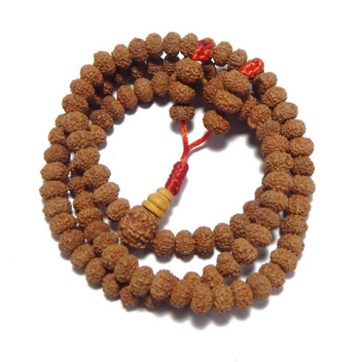 7 Face Rudraksha String