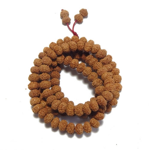 8 mukhi Rudraksha String