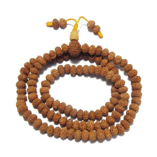 9 mukhi Rudraksha String