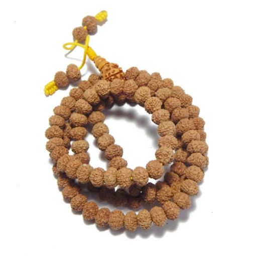 10 face Rudraksha