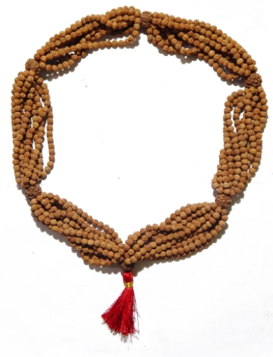 1008 Rudraksha Mala