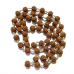 Rudraksha Mala in silver Chain