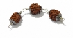 3 Face Rudraksha Combination Chain