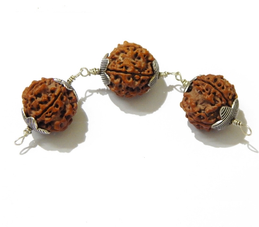 5 mukhi rudraksha combination