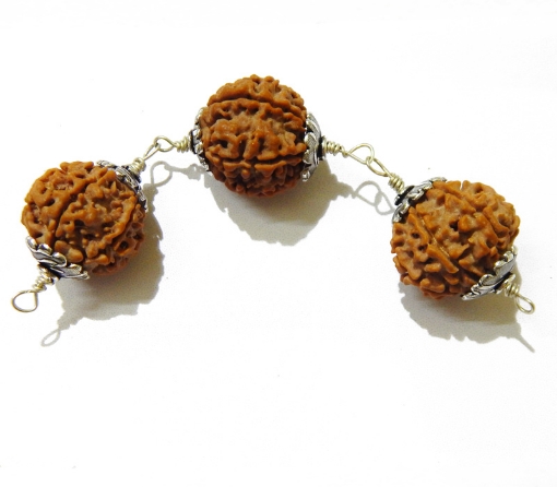 6 Face Rudraksha combination