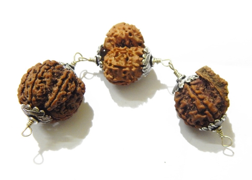 Shiv Privar Rudraksha Shield