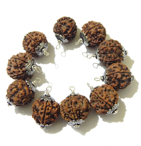 5 Mukhi Rudraksha with Caps