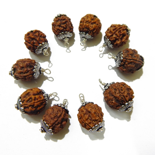 four mukhi nepali rudraksha pack