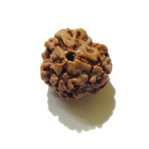 3 Face Nepali Rudraksha Bead