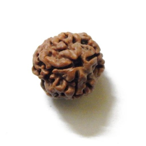 3 Face Nepali Rudraksha Bead