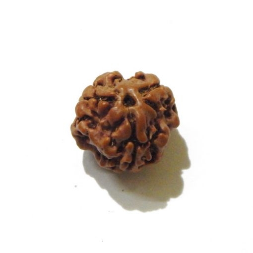 3 Face Nepali Rudraksha Bead