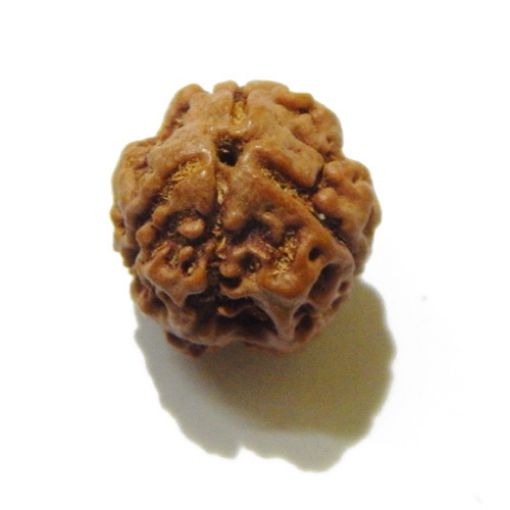 3 Face Nepali Rudraksha Bead