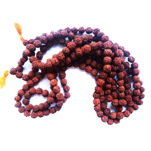 Picture of Rudraksha Perlenstrang 109 Stück 10mm