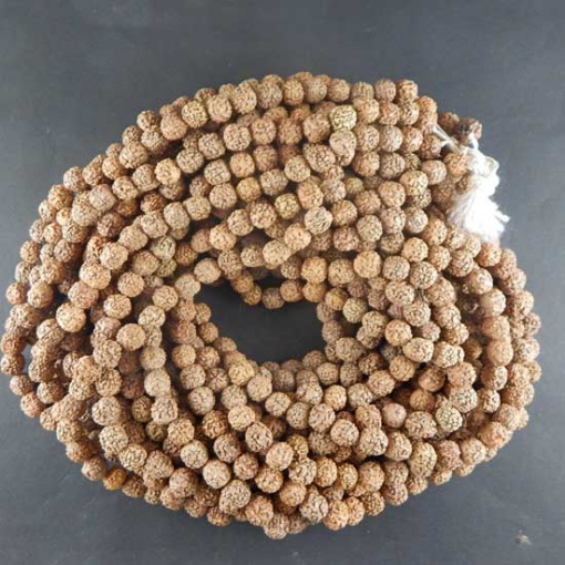 Picture of 12mm Rudraksha Perlenstrang Naturfarbe