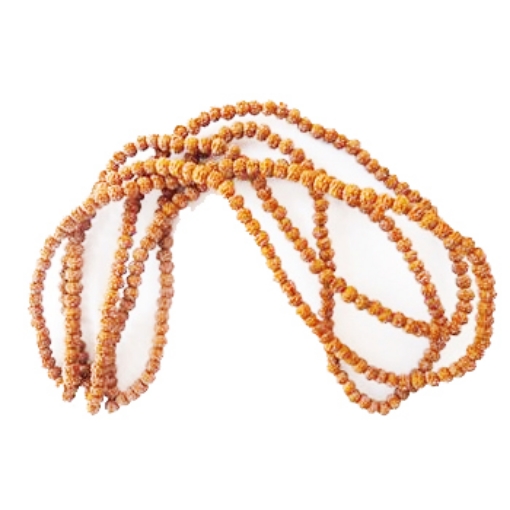 Perles de Mala Rudraksha