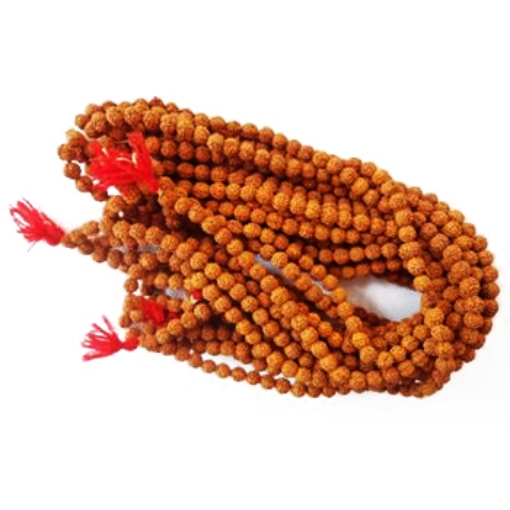 chapelet de rudraksha