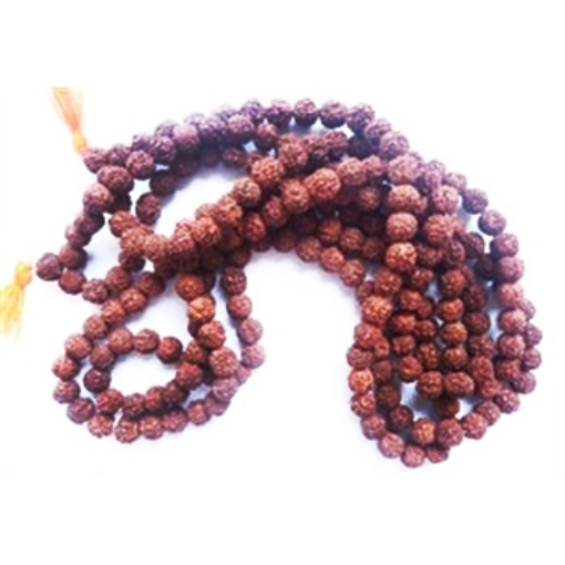 rudraksha en gros