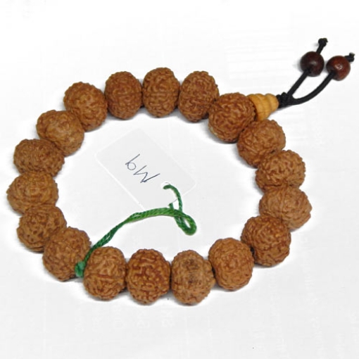 Picture of Armband mit 9 Gesichts Rudraksha Perlen