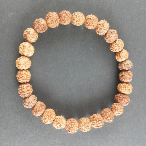 Picture of Sechs Gesichts Rudraksha Perlen Armband