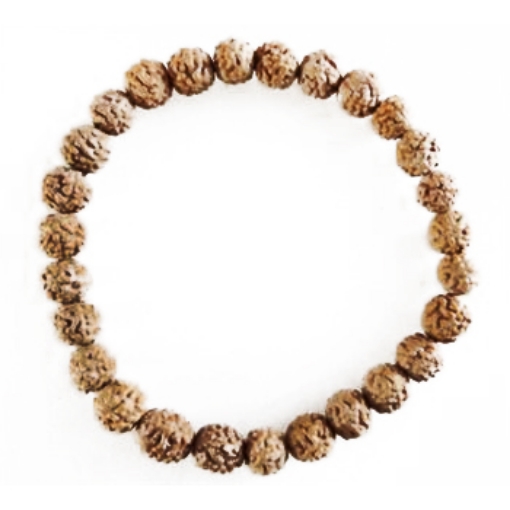 Picture of 27 Beads Rudraksha Bracelet