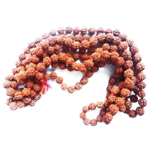 Picture of 10 mm Rudraksha-Perlen-Mala-Paket