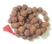 Picture of 5 Mukhi Nepali Rudraksha Mala