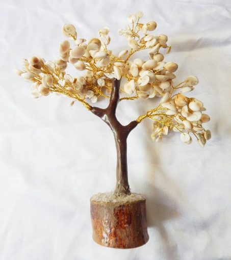 Gomti Chakra Tree