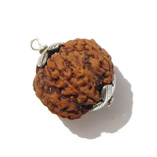 Six Face Rudraksha Pendant