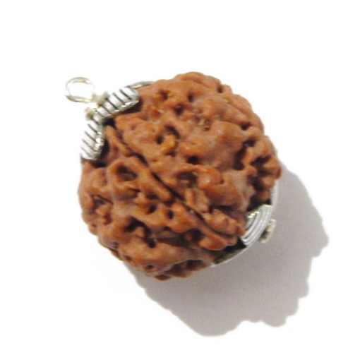 Six Face Rudraksha Pendant
