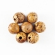 Show details for Perles de rocaille Bodhi Picture of Perles de rocaille Bodhi